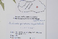 登錄號:P005821藏品圖，第2張