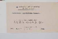 觀音座蓮藏品圖，第2張