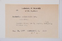 單邊鐵角蕨藏品圖，第2張