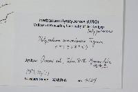 登錄號:P005838藏品圖，第2張