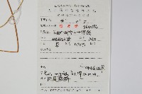 鳳尾蕨藏品圖，第2張