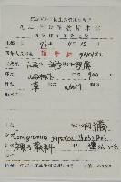 日本鳳丫蕨藏品圖，第2張