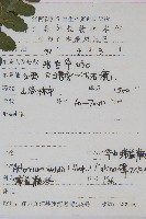 華中蹄蓋蕨藏品圖，第2張