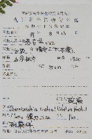 碗蕨藏品圖，第2張