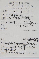 龍南鱗毛蕨藏品圖，第2張