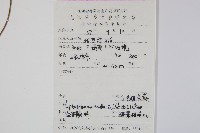 峨眉茯蕨藏品圖，第2張