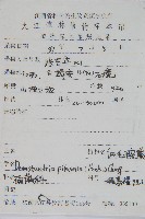 細毛碗蕨藏品圖，第5張