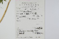 毛枝卷柏藏品圖，第2張