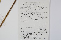 華中介蕨藏品圖，第2張