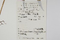 大星蕨藏品圖，第2張