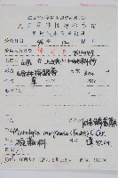 邊緣鱗蓋蕨藏品圖，第2張