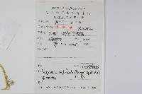 毛枝卷柏藏品圖，第2張