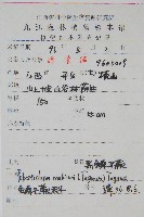 黑鱗耳蕨藏品圖，第2張