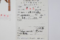 烏毛蕨藏品圖，第2張