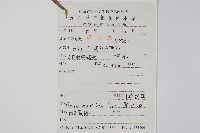 鳳尾蕨藏品圖，第2張