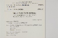 烏蕨藏品圖，第2張