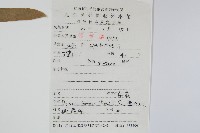 槲蕨藏品圖，第2張