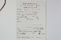 盾蕨藏品圖，第2張