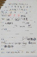 觀光鱗毛蕨藏品圖，第2張