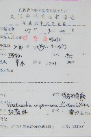 生芽狗脊蕨、頂芽狗脊蕨藏品圖，第2張