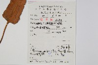 盧山石葦藏品圖，第2張