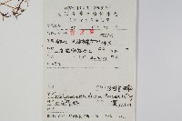 披針骨牌蕨藏品圖，第2張