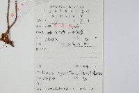 石葦藏品圖，第2張