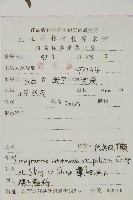 美羽鳳丫蕨藏品圖，第2張