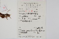 中國石葦藏品圖，第2張