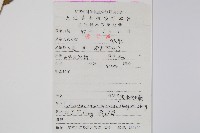 假漸尖毛蕨藏品圖，第2張