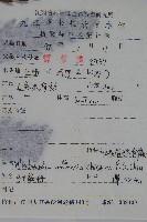 峨眉狗脊蕨藏品圖，第2張