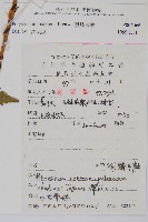 黑鱗耳蕨藏品圖，第2張