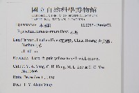 木賊藏品圖，第2張