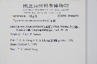 木賊藏品圖，第2張