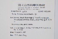 石松藏品圖，第2張