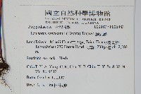 麟瓦葦、川上氏瓦葦藏品圖，第2張