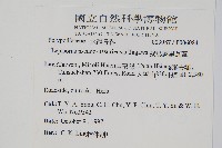 擬烏蘇里瓦葦藏品圖，第2張