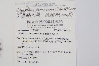 臺灣鱗毛蕨藏品圖，第2張