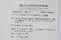 松田氏石葦藏品圖，第2張