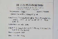 盧山石葦藏品圖，第2張