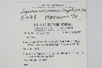 粵瓦葦藏品圖，第2張