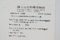 水蕨藏品圖，第2張