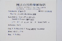 岩蕨藏品圖，第5張