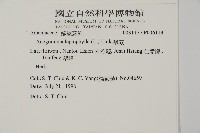 翠蕨藏品圖，第2張