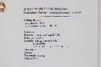 過山龍藏品圖，第2張