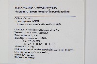 瓶蕨藏品圖，第2張