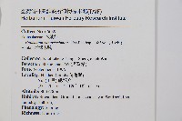 臺灣木賊藏品圖，第1張