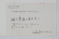 槲蕨藏品圖，第2張