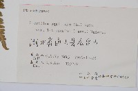 蕨藏品圖，第2張