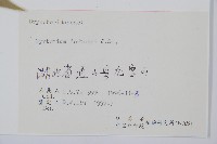 貫眾蕨藏品圖，第1張